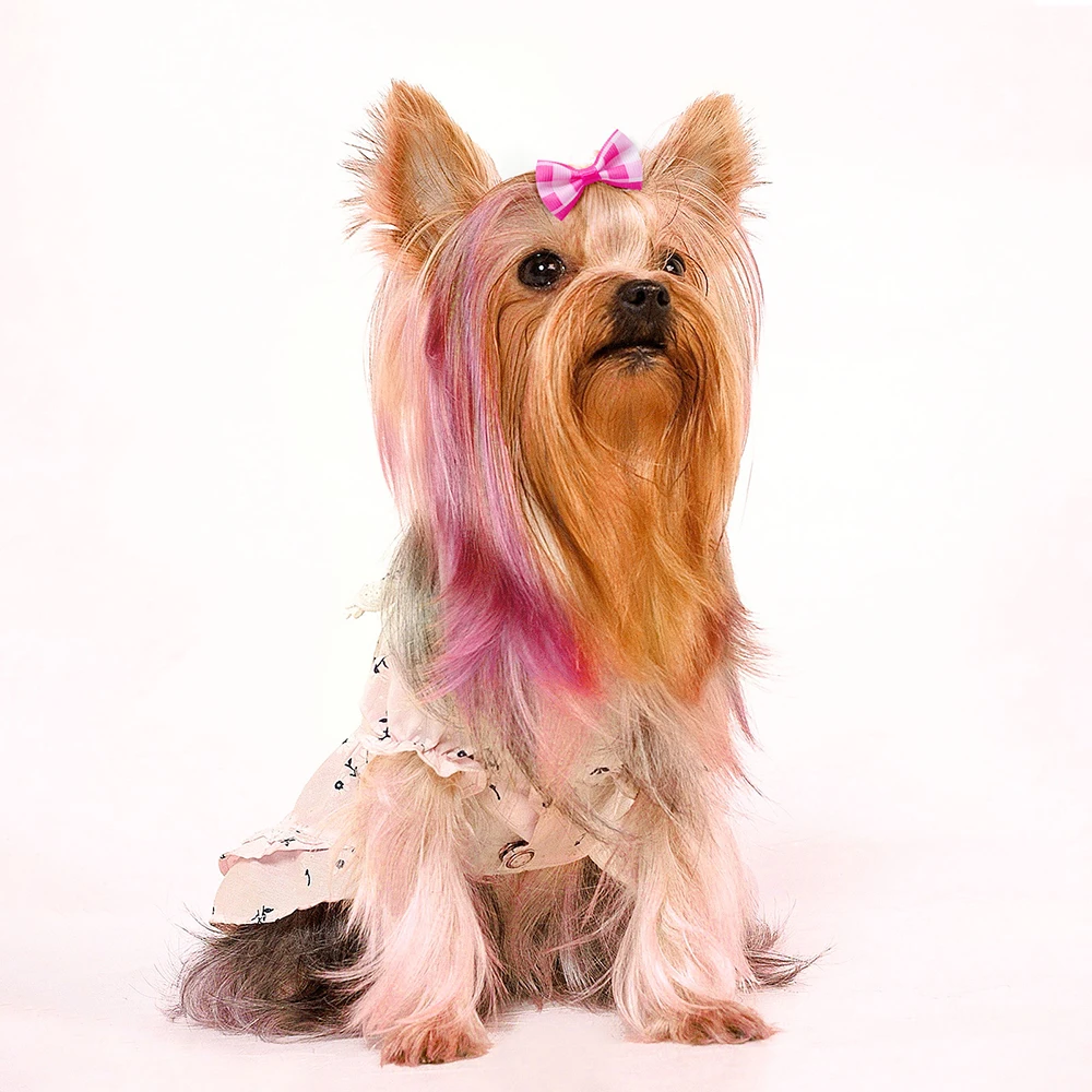 30PCS Pet Dog Cat Puppy Grooming Bows Pet Hair Accessories Decorate Hair for Small Dog Hair Rubber Band Dog Supplier