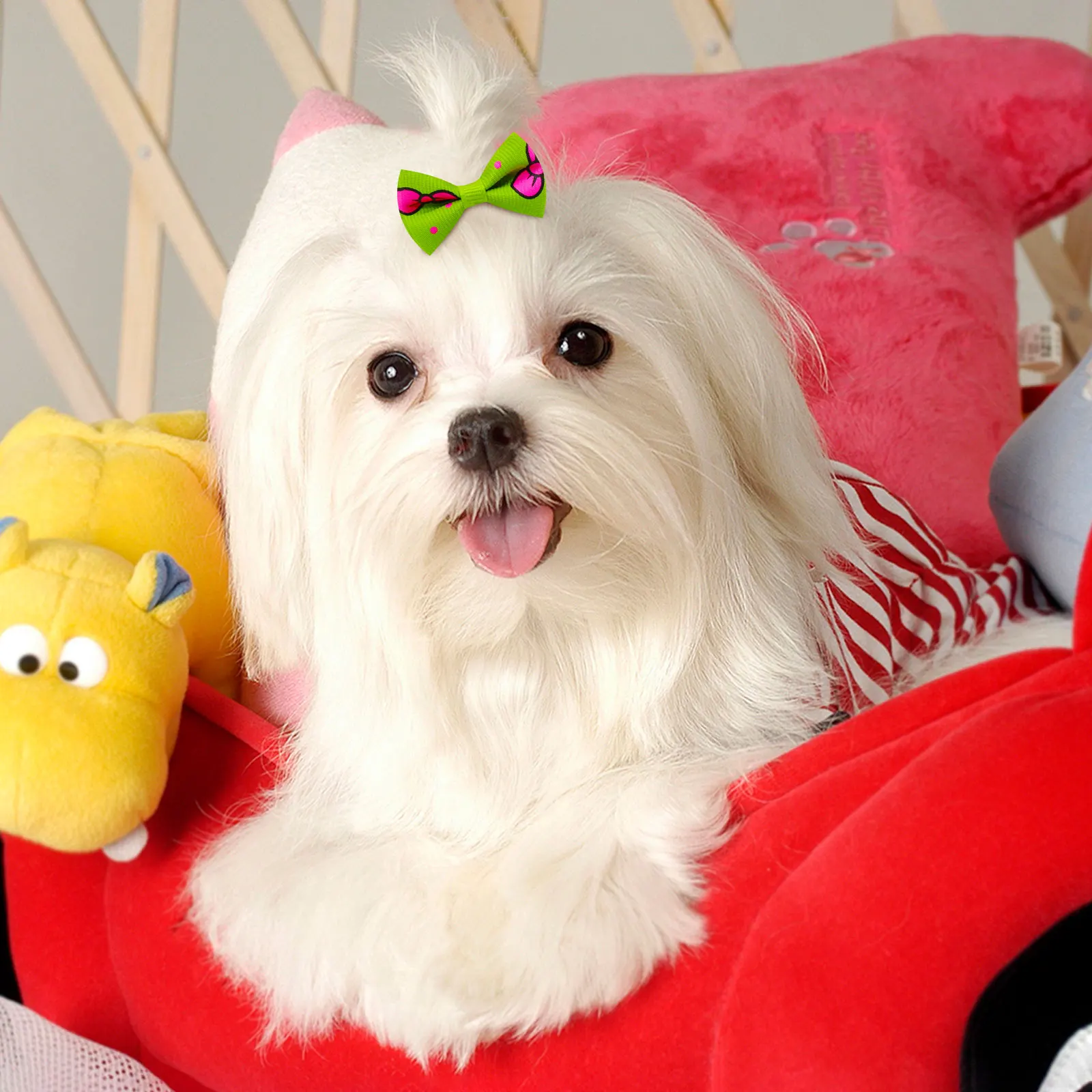 30PCS Pet Dog Cat Puppy Grooming Bows Pet Hair Accessories Decorate Hair for Small Dog Hair Rubber Band Dog Supplier