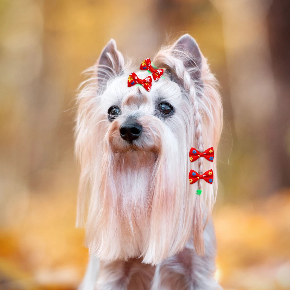 30PCS Pet Dog Cat Puppy Grooming Bows Pet Hair Accessories Decorate Hair for Small Dog Hair Rubber Band Dog Supplier