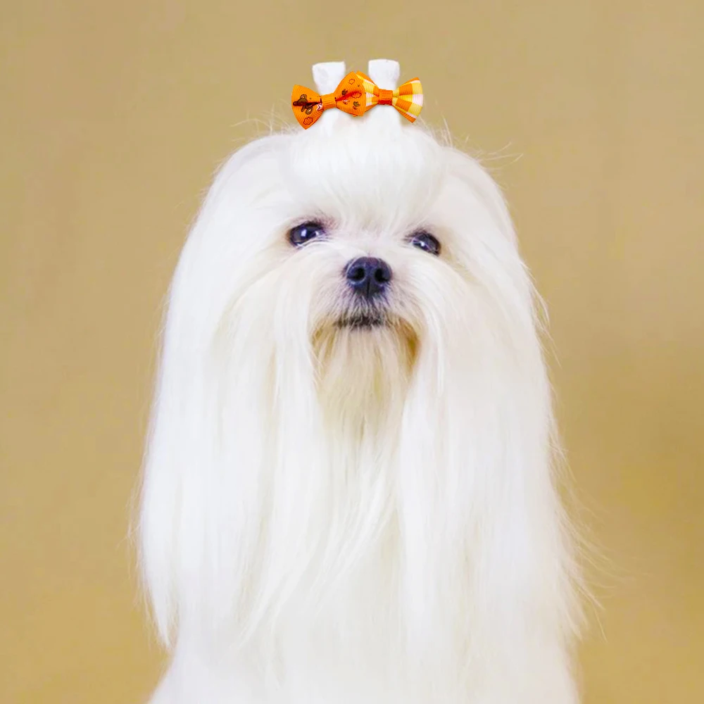 30PCS Pet Dog Cat Puppy Grooming Bows Pet Hair Accessories Decorate Hair for Small Dog Hair Rubber Band Dog Supplier