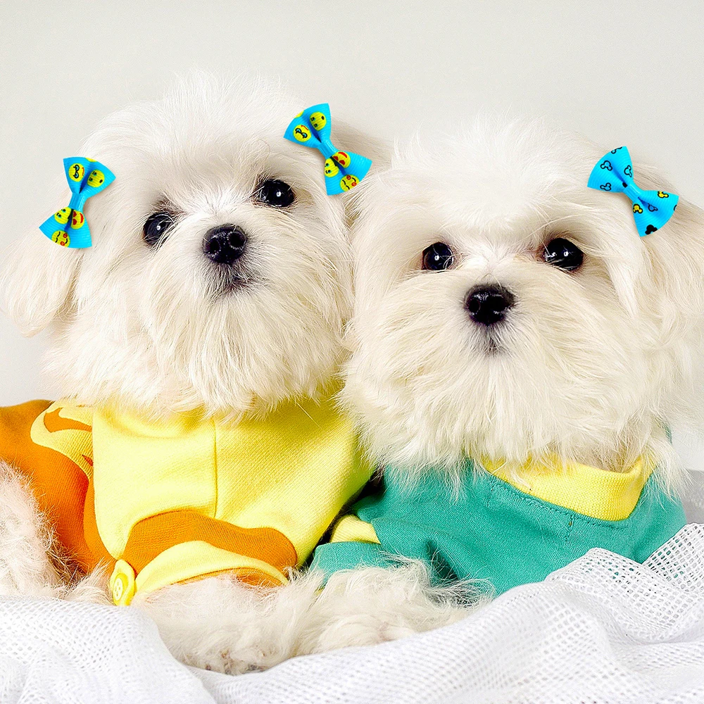 30PCS Pet Dog Cat Puppy Grooming Bows Pet Hair Accessories Decorate Hair for Small Dog Hair Rubber Band Dog Supplier