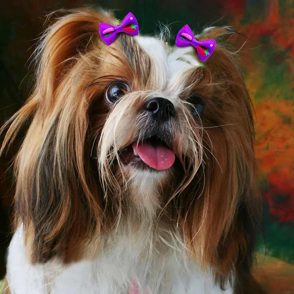 30PCS Pet Dog Cat Puppy Grooming Bows Pet Hair Accessories Decorate Hair for Small Dog Hair Rubber Band Dog Supplier
