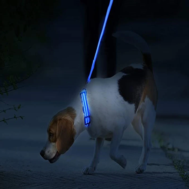 3 Modes Dog Luminous Charge Collar Led Usb Cat Dogs Collars Detachable Night Led Glow Dog Loss Prevention Collar Pet Accessories