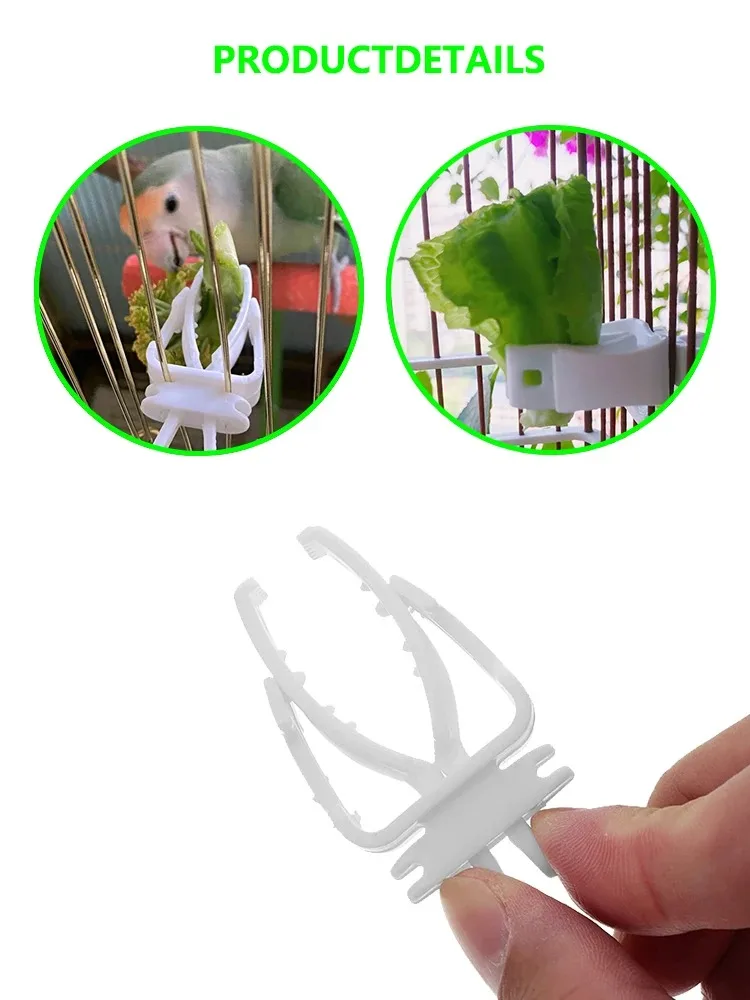 Cute Small Pet Bird Food Holder Parrot Fruits Vegetables Clip Cuttlefish Bone Feeder Device Clamp Bird Cage Accessories Oiseaux