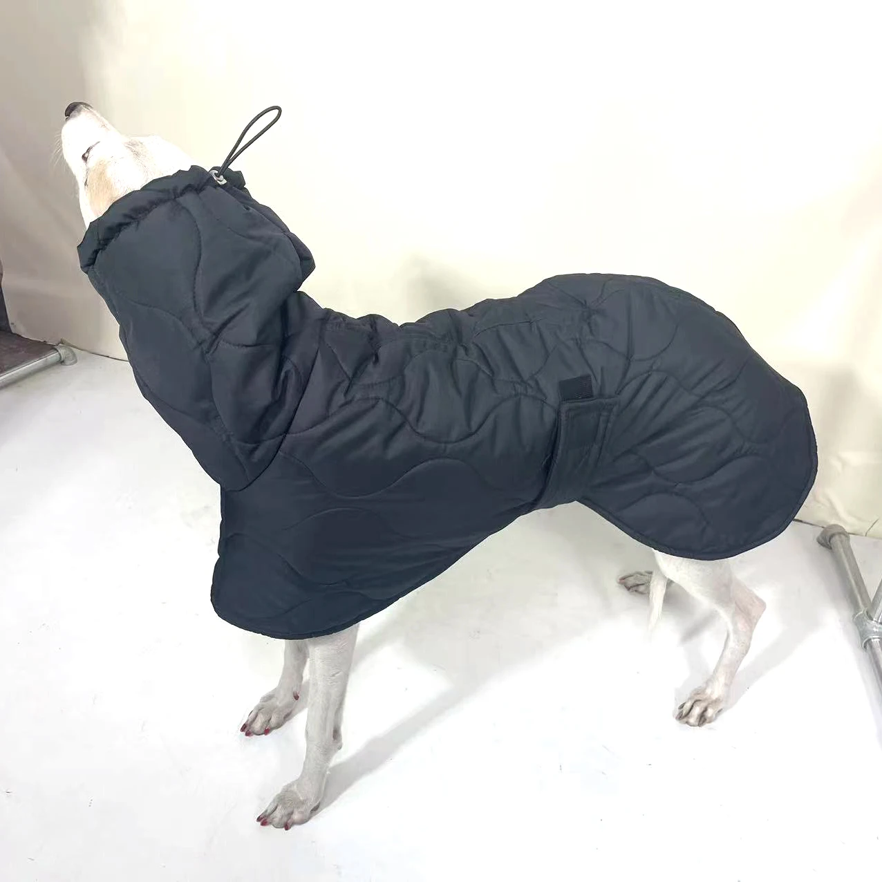 Winter Dog Outer Black Quilted Turtle Collar Dog Coat Warm Italian Greyhound Adjustable Cotton Whippet