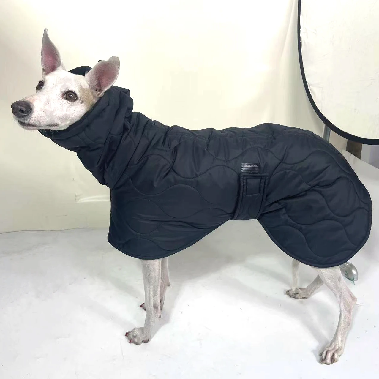 Winter Dog Outer Black Quilted Turtle Collar Dog Coat Warm Italian Greyhound Adjustable Cotton Whippet