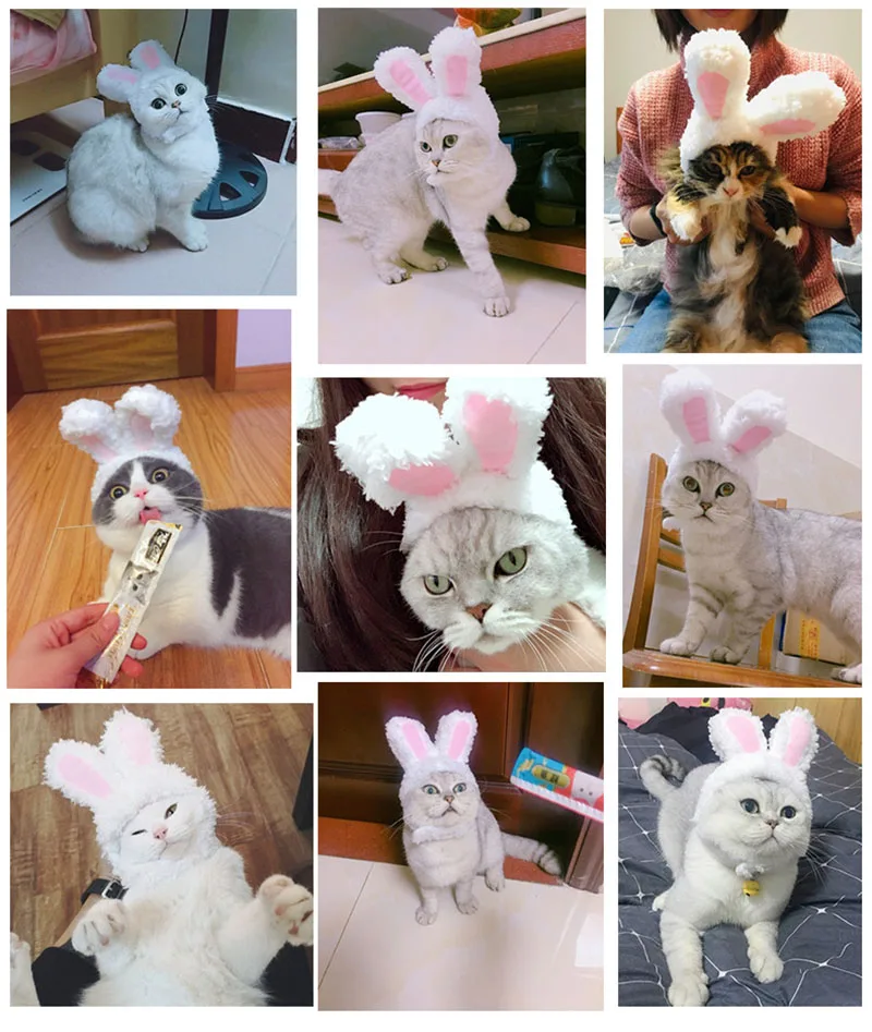Cute Bear Rabbit Hooded Pet Cat Dog Accessories Cosplay Cat Hat Winter Lovely New Year Puppy Headgear Soft Velvet Pets Supplies