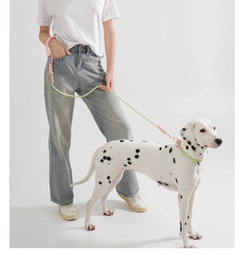 Pet Collar Cute Fashion Nylon Webbing Dog Lead Collar Candy Style Handmade Webbing PVC Neck Ring Cool Waterproof Dogs Supplies