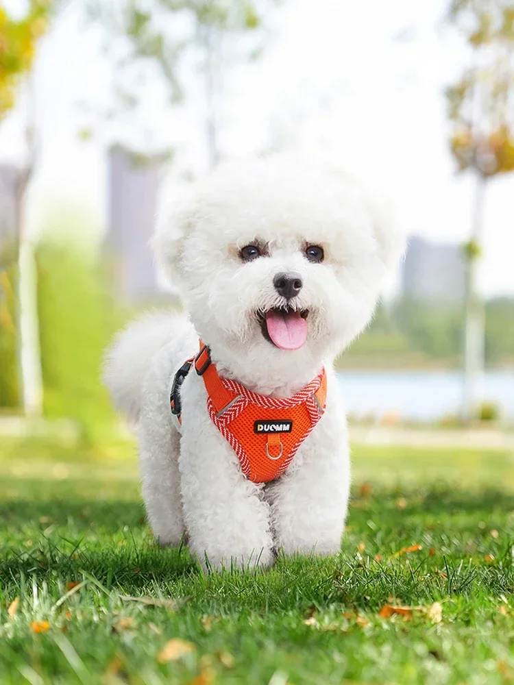 New Dog Chest Strap Dopamine Pet Chest Strap Reflective and Breathable Pet Traction Rope Pet Supplies