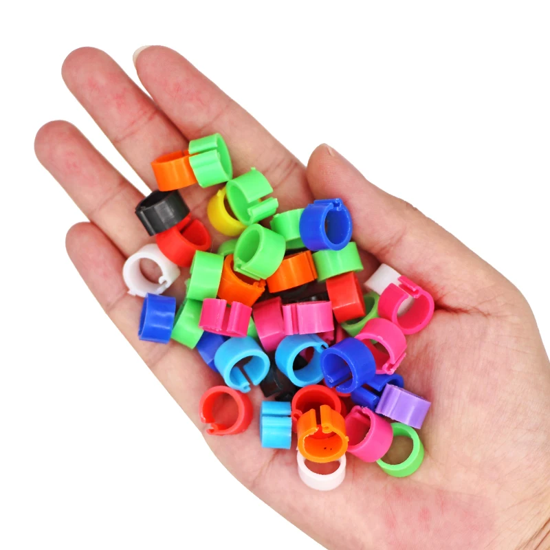 100Pcs Birds Pigeon Foot Rings Small Poultry Foot Ring 10 Colors Plastic Dove Clip Quail Pigeon Foot Ring Pet Bird Supplies