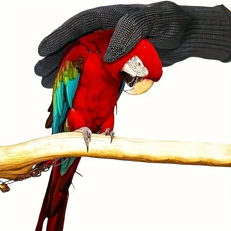 Bird Training Anti-Bite Gloves Small Animal Handling Wire Gloves Chewing Protective Gloves for Parrot Squirrels Hamster Hedgehog