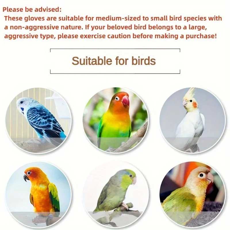 Bird Training Anti-Bite Gloves Small Animal Handling Wire Gloves Chewing Protective Gloves for Parrot Squirrels Hamster Hedgehog