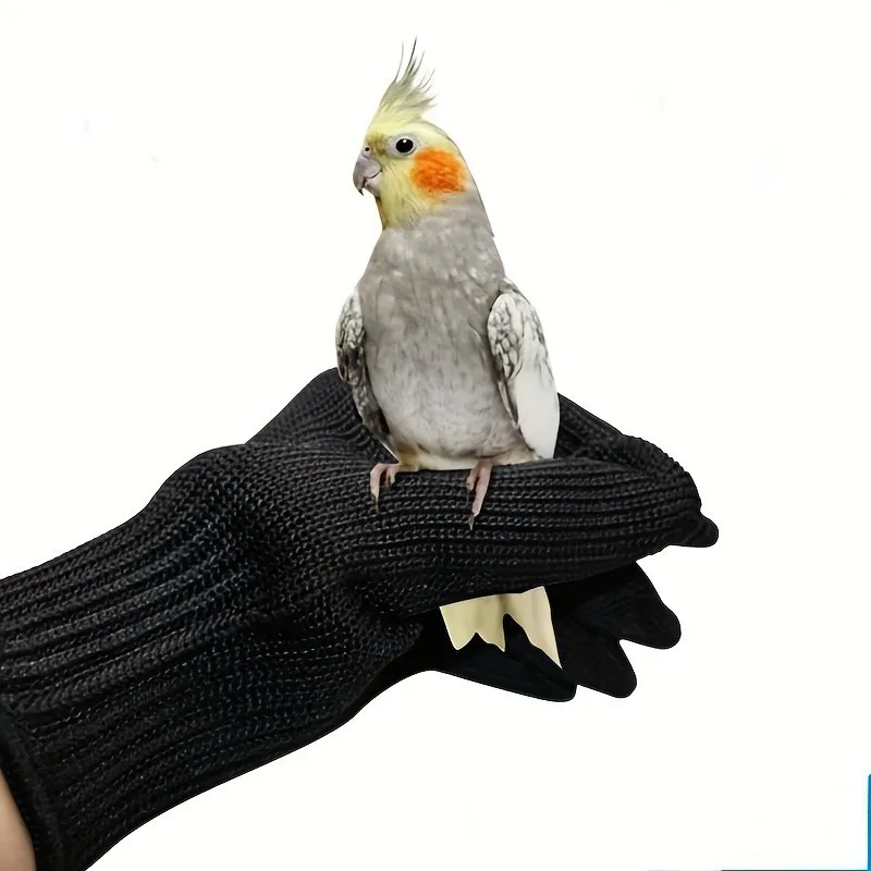 Bird Training Anti-Bite Gloves Small Animal Handling Wire Gloves Chewing Protective Gloves for Parrot Squirrels Hamster Hedgehog