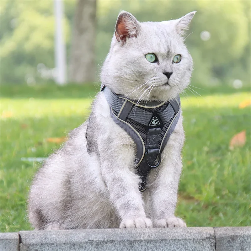 High Quality Fashion Cat Dog Harness and Leash Set Reflective Pet Harnesses Vest for Cats Small Dogs Pets Out Door Walk Supplies