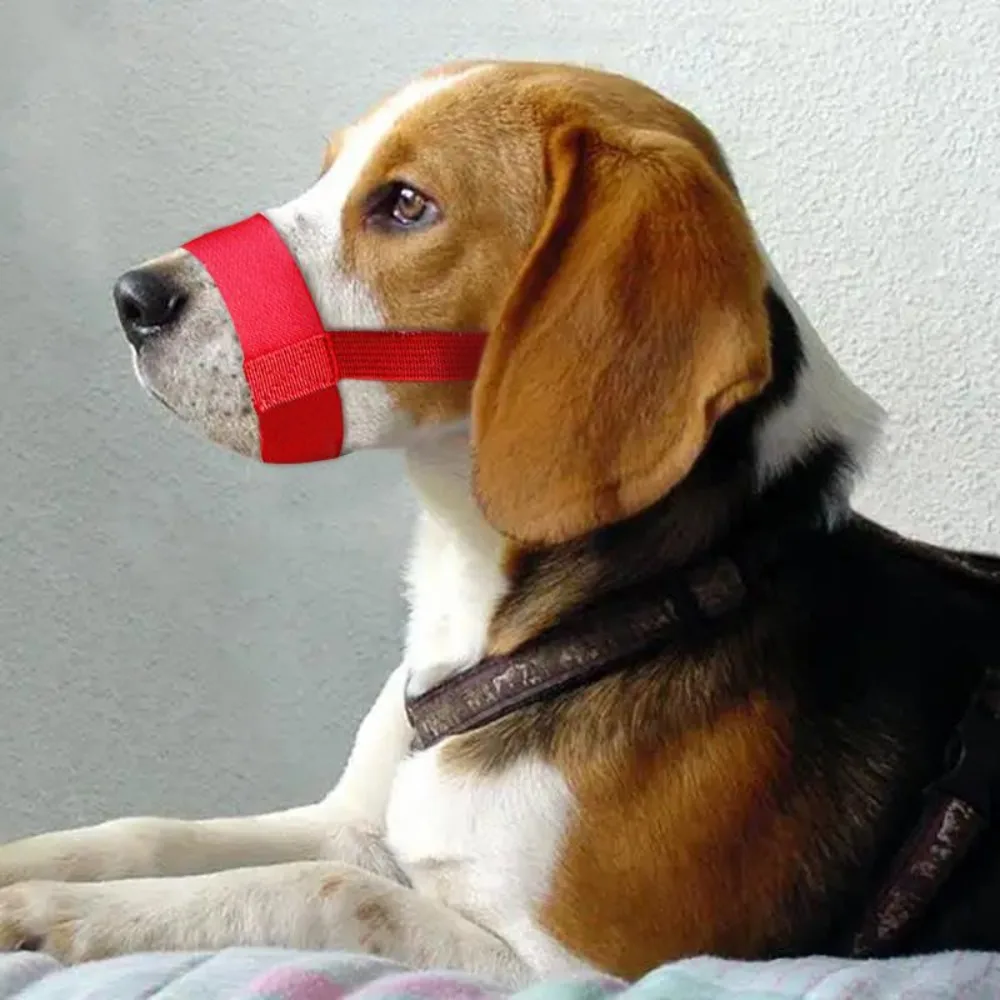 Pet Supplies Adjustable Dog Muzzle Soft Nylon Anti-biting Dog Straps Mask Breathable Stop Barking Mouth Cover Dog