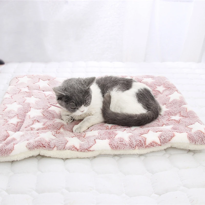 Pet Sleeping Mat Dog Bed Cat Litter Puppy Bed Dog Sofa Lovely Mattress Cushion for Small Large Dog Washable Blanket For Winter