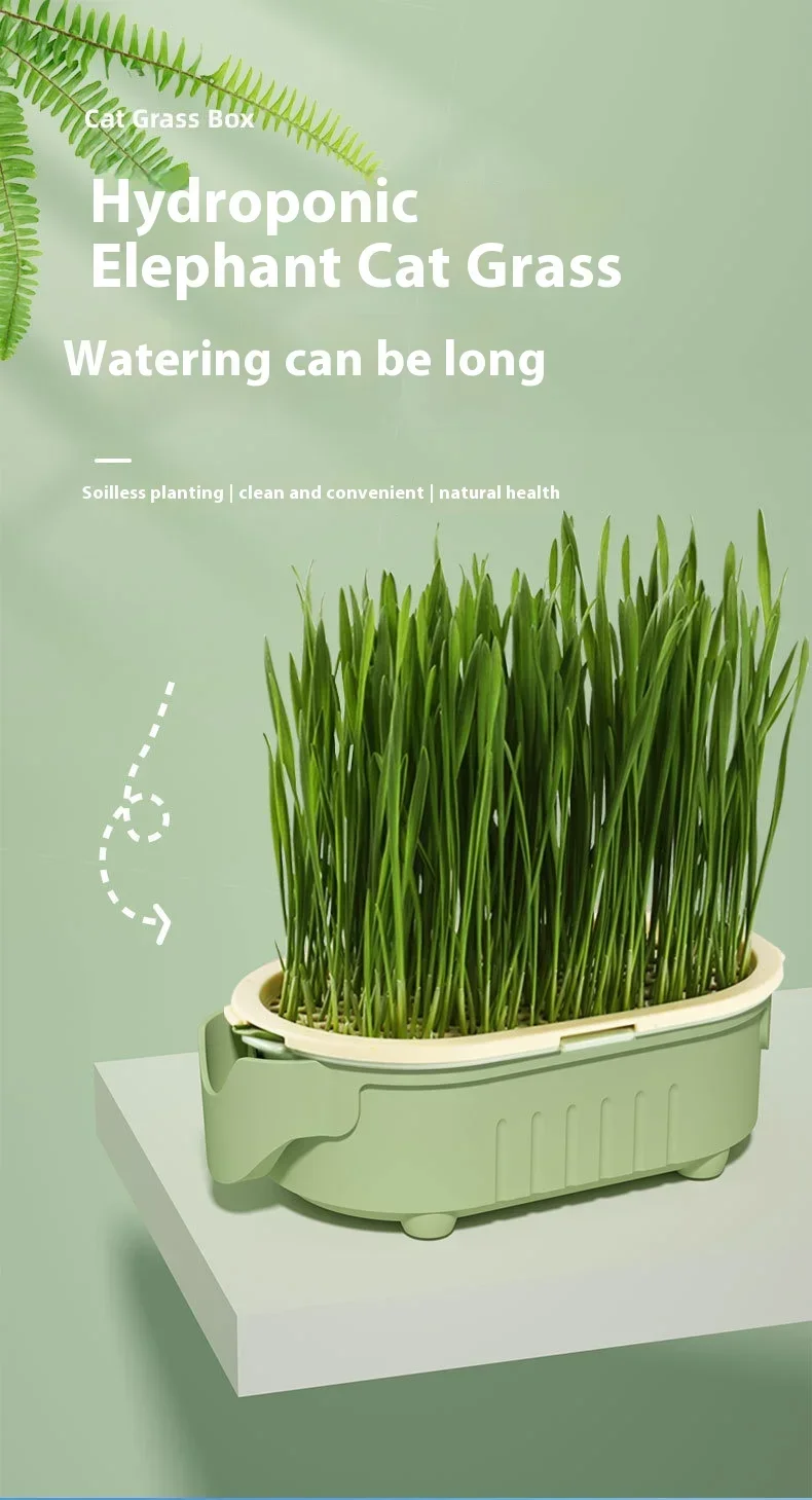 Organic Cat Grass Planter Kit Hairball Relief Natural Digestive Aid Grow Your Own Cat Grass Bowl Set Not Include Seed