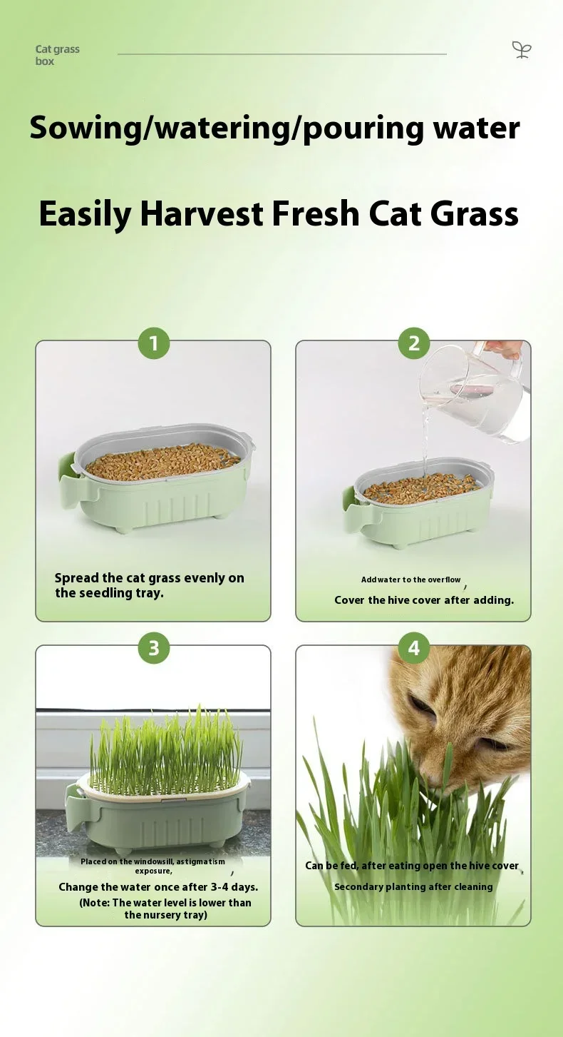 Organic Cat Grass Planter Kit Hairball Relief Natural Digestive Aid Grow Your Own Cat Grass Bowl Set Not Include Seed