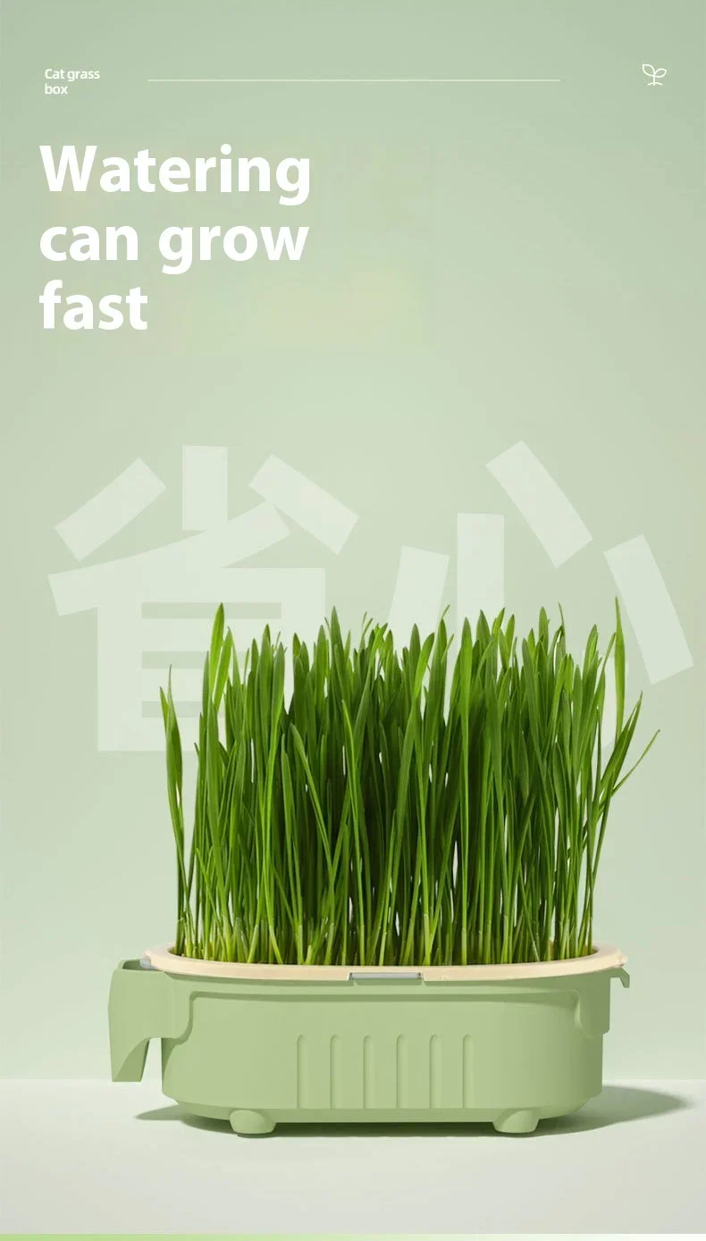 Organic Cat Grass Planter Kit Hairball Relief Natural Digestive Aid Grow Your Own Cat Grass Bowl Set Not Include Seed