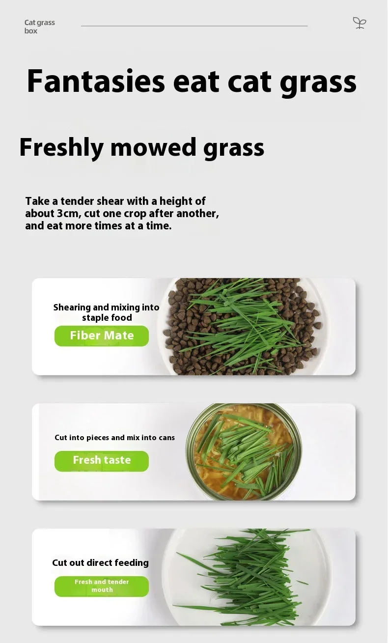 Organic Cat Grass Planter Kit Hairball Relief Natural Digestive Aid Grow Your Own Cat Grass Bowl Set Not Include Seed