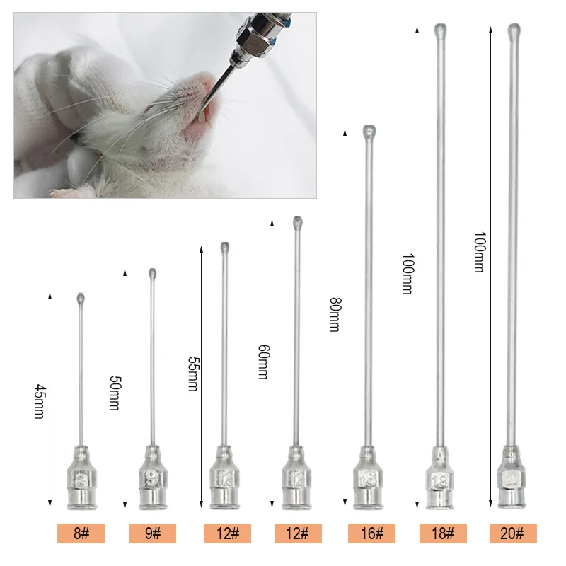 Pet Feeding Syringe Poultry Feeding Medicine Needle Tube Stainless Steel Straight Needle Cats Dogs Hamsters Feed Water Needles