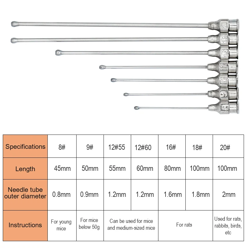 Pet Feeding Syringe Poultry Feeding Medicine Needle Tube Stainless Steel Straight Needle Cats Dogs Hamsters Feed Water Needles