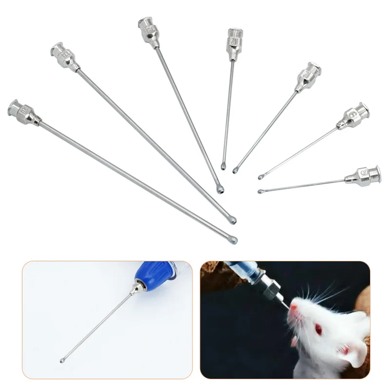 Pet Feeding Syringe Poultry Feeding Medicine Needle Tube Stainless Steel Straight Needle Cats Dogs Hamsters Feed Water Needles