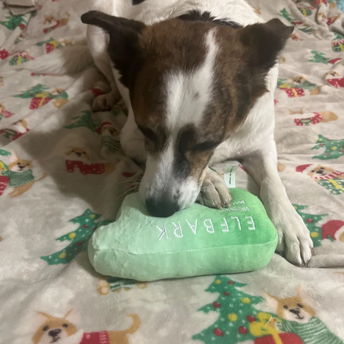 Funny Dog Toys with Squeaker - Funny Cute Parody Dog Toys - Puppy and Dog Toys for Small, Medium and Large Dogs