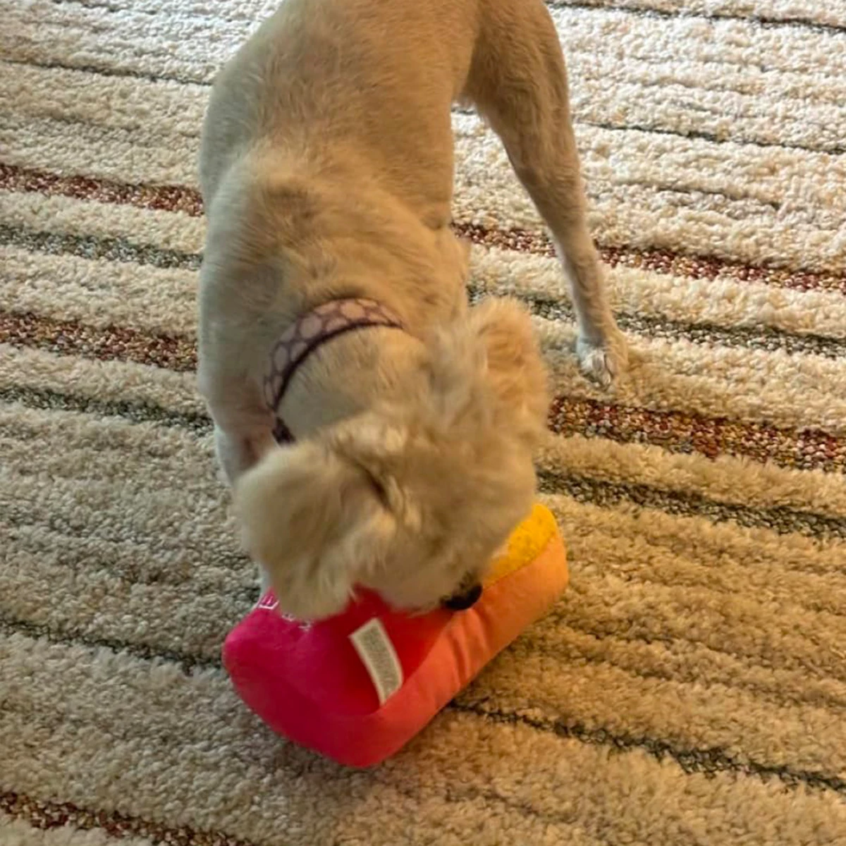 Funny Dog Toys with Squeaker - Funny Cute Parody Dog Toys - Puppy and Dog Toys for Small, Medium and Large Dogs