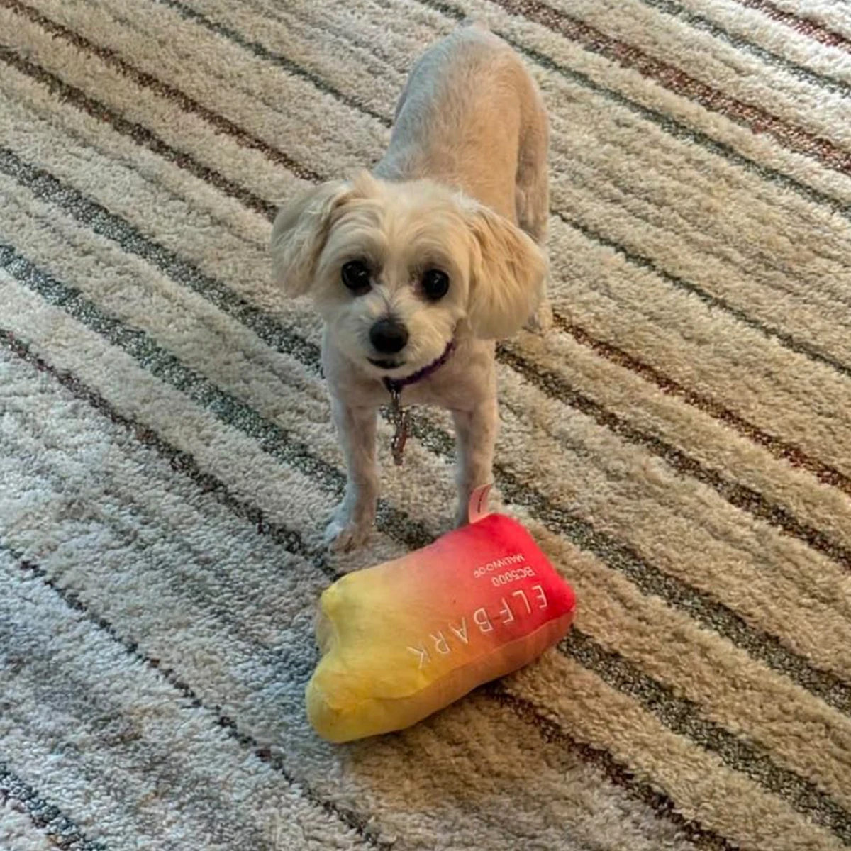 Funny Dog Toys with Squeaker - Funny Cute Parody Dog Toys - Puppy and Dog Toys for Small, Medium and Large Dogs