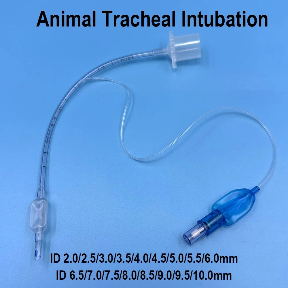 Animal Tracheal Intubation Cat Dogs Disposable PVC Sterile Oral Nasal Endotracheal Tube with Cuff 2.5-10mm Veterinary Supplies