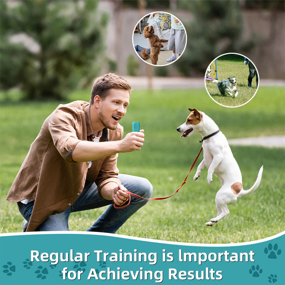 Type-C Rechargable Mini Anti Barking Training Device ULTRSONIC DOG TRAINER Dog Repeller LED Flashlight Training Device