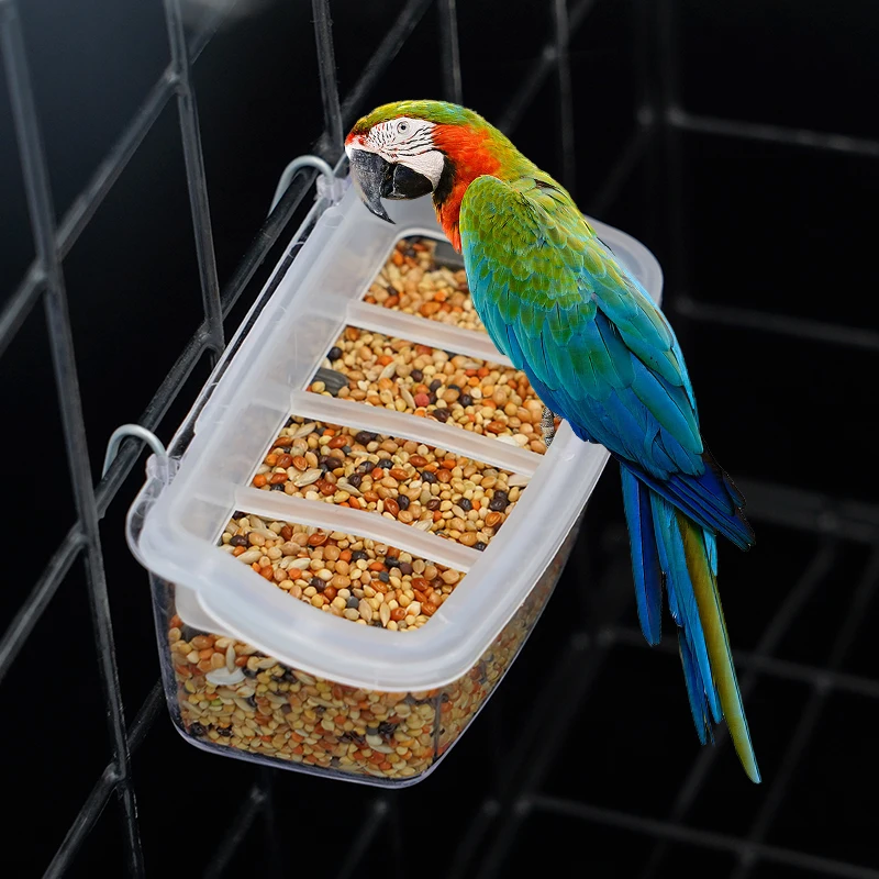 Parrot Pigeon Feeder Chicken Hanging Feeder Drinker Supplies Water Box Pet Chicks Quail Duck Bird Poultry Plastic Food Container