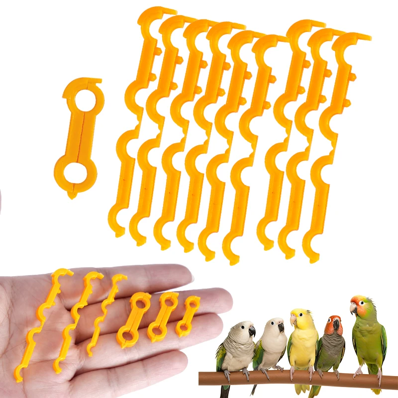 4/5/6mm Parrot Leg Corrector Nestling Leg Splint Rutin Chicken Budgie Cockatiel Eight Character Correction Ring Bird Supplies