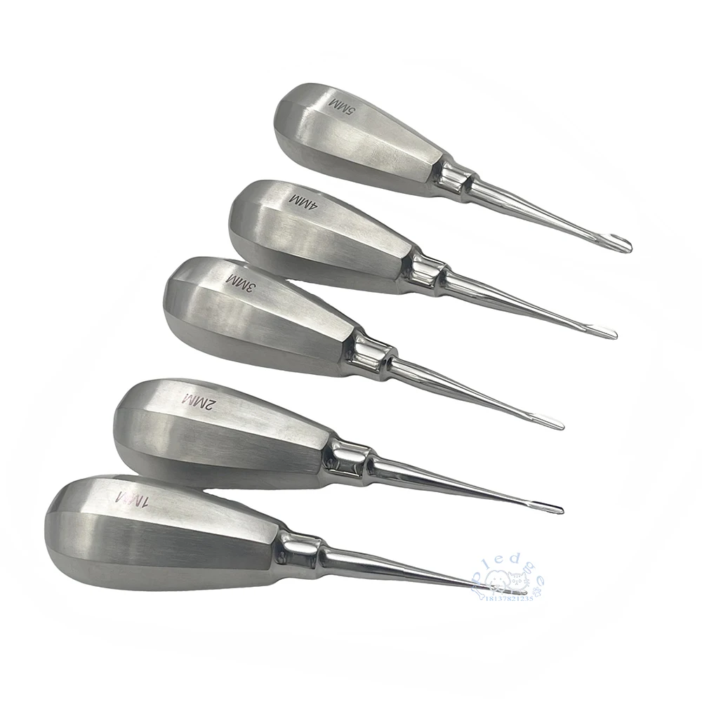 Pet Dental Instruments Feline Canine Dental Elevators with Auxiliary Wing Short Handle Straight Root Elevators Oral Examination