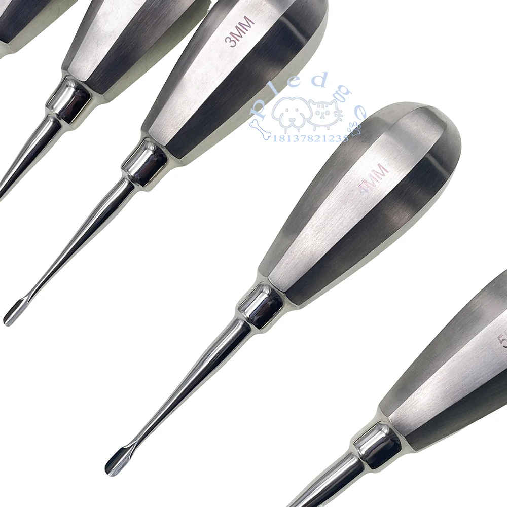 Pet Dental Instruments Feline Canine Dental Elevators with Auxiliary Wing Short Handle Straight Root Elevators Oral Examination