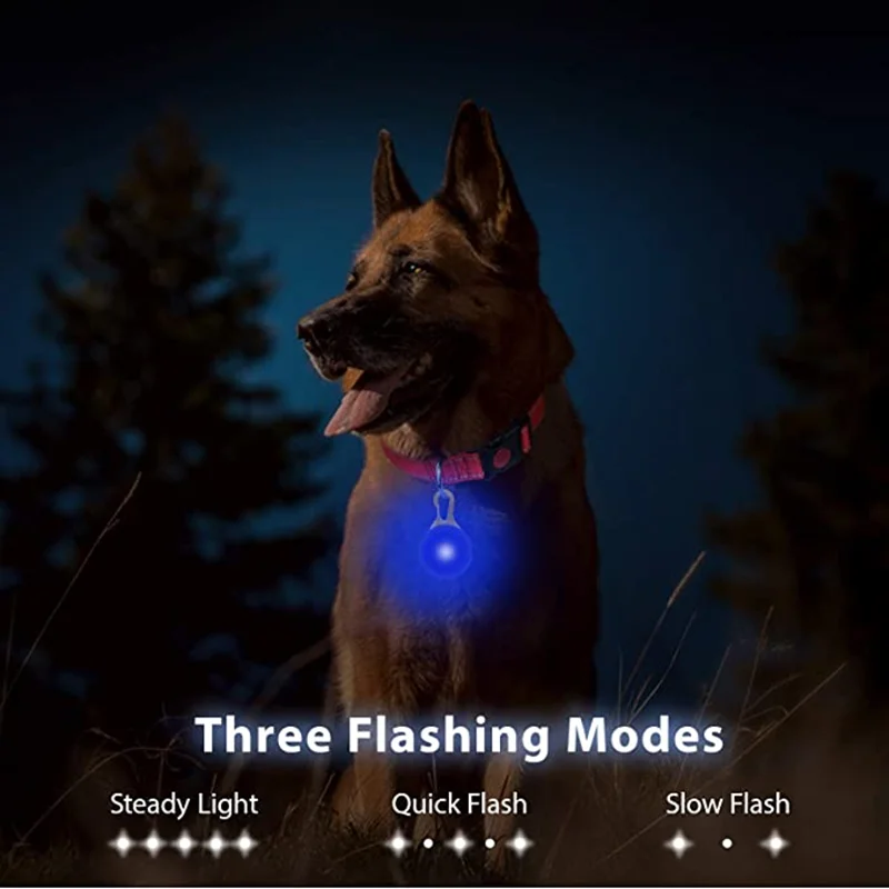 Led Dogs Collars Pendant Rechargeable Pet Usb Luminous Collar Pendant Puppy Flash Light Leash Accessorie Decoration Dog Necklace