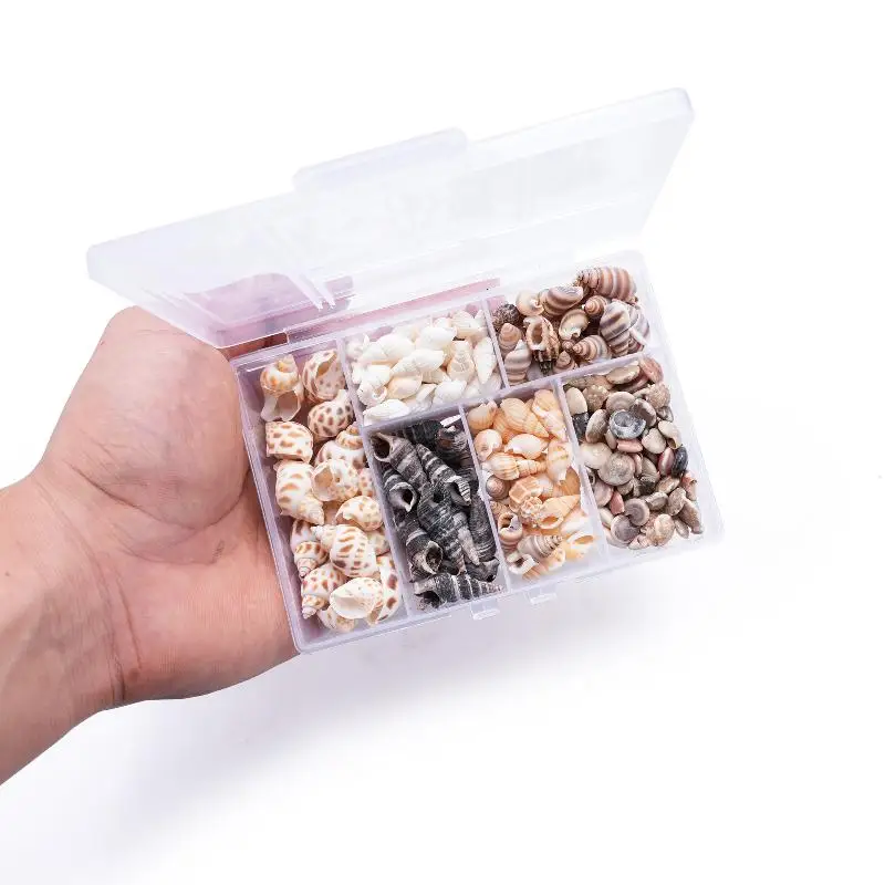 1 Box Sea Shells Spiral Shell Tiny Ocean Spiral Seashells Crafts Aquarium Decoration Landscaping Accessories Photography Props