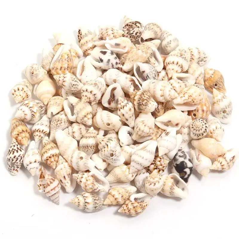 1 Box Sea Shells Spiral Shell Tiny Ocean Spiral Seashells Crafts Aquarium Decoration Landscaping Accessories Photography Props