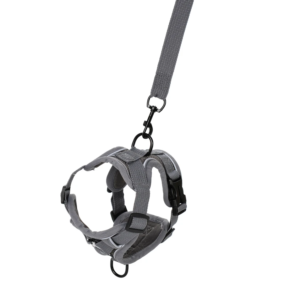Dog Harness Leash Set For Small Medium Dogs Cat Hiking Adjustable Puppy Leash Reflective Harness Vest Chihuahua Pug Pet Supplies