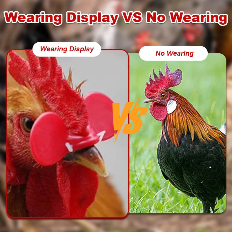 100/200 Pcs M/L Plastic with Bolt Chicken Glasses Chicken Pigeon Pheasant Anti-pecking Glasses Poultry Hen Accessories