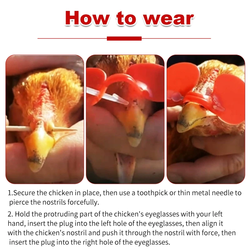 100/200 Pcs M/L Plastic with Bolt Chicken Glasses Chicken Pigeon Pheasant Anti-pecking Glasses Poultry Hen Accessories
