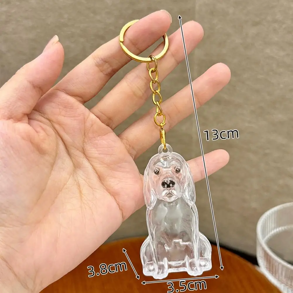 Dog Hair Collection Pendant Hair Storage Box Charm Pet Cute Keychains Clear Plastic Pet Hair Capsule Souvenirs DIY Gifts