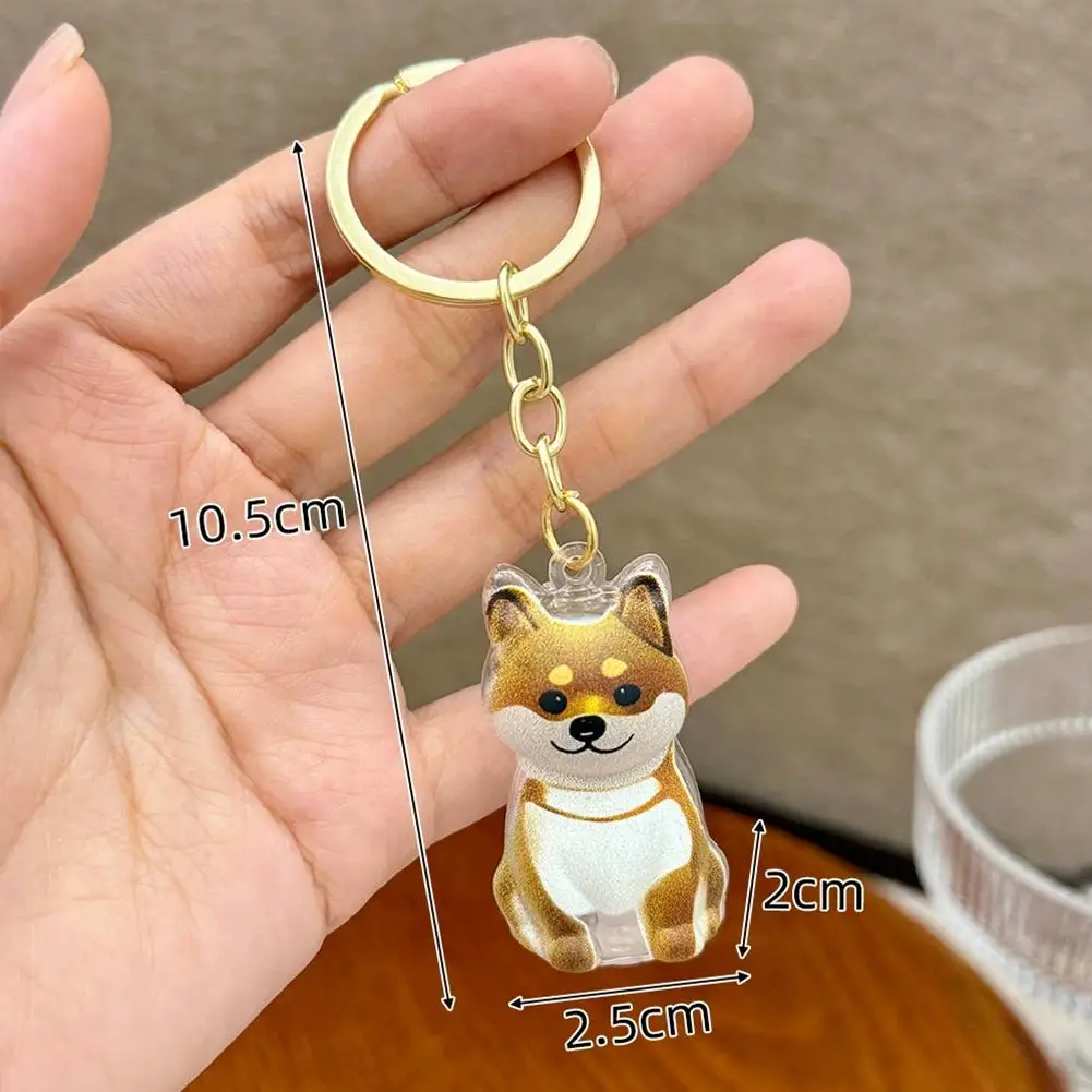 Dog Hair Collection Pendant Hair Storage Box Charm Pet Cute Keychains Clear Plastic Pet Hair Capsule Souvenirs DIY Gifts