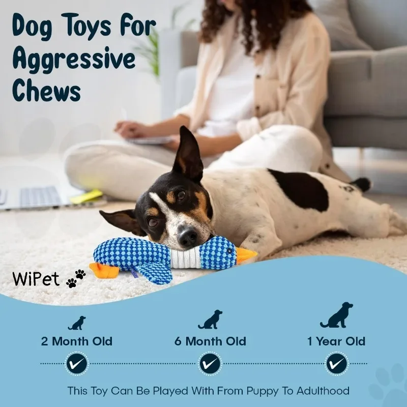 New Pineapple Velvet Goose Dog Toy Cat Toy Pet Double Color Goose Tough Bite Chew Plush Sound Toy Pet Supplies