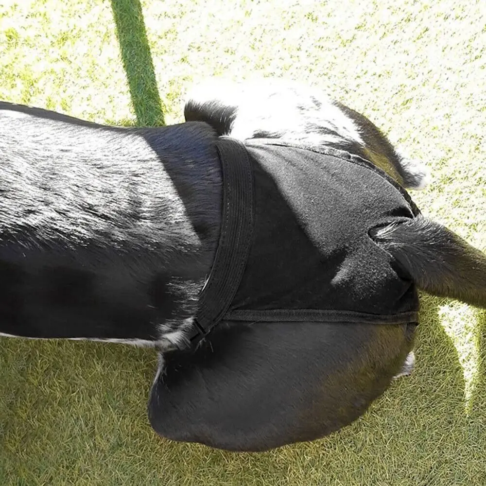 With 3 Cotton Pads Female Dog Panties Easy To Wear Washable Dog Physiological Nappies Breathable Adjustable