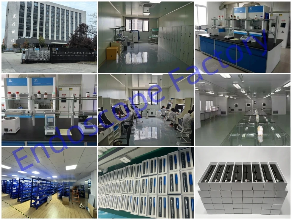 HD 70° 90° 4mm 6mm 8mm Laryngoscope Laryngoscopy Rigid Endoscope Optics Telescope Throat Examination Veterinary Pets
