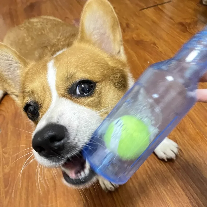 Dog Chew Toy TPR Bite-resistance Beer Bottle with Tennis Ball Toy Puppy Teeth Grinding dog Chewing Squeaky Interactive Toys