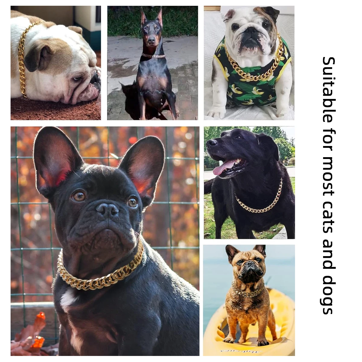 Pet Big Gold Chain Collar Adjustable Premium Dog Necklace & Cat Collar For High-End Aesthetic Richer Style Decorations Collar