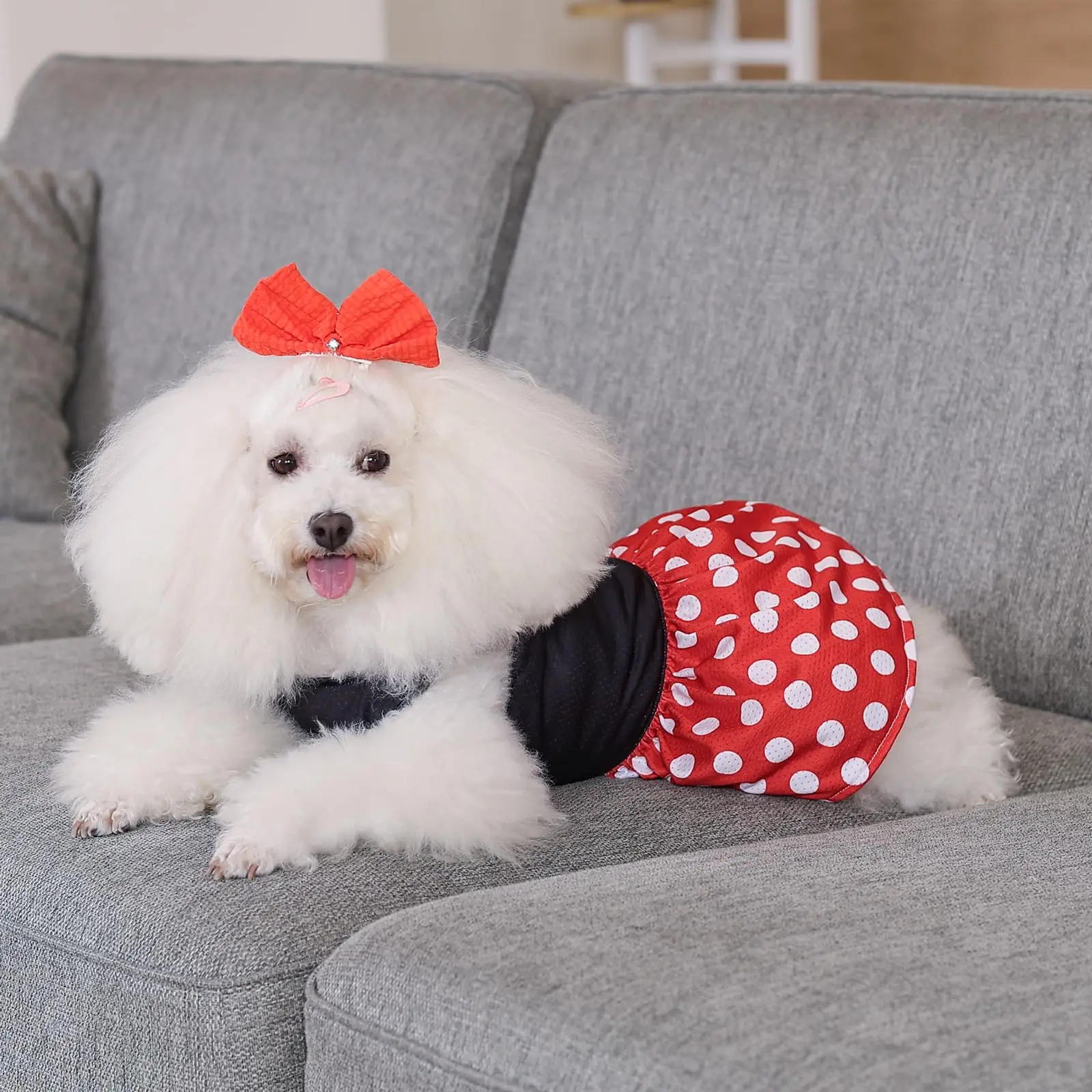CuteBone Dog Mesh Dress Puppy Sundress Pet Outfit Summer Fashion for Small Dogs Girl Dog Dress Fashion Pet Clothes